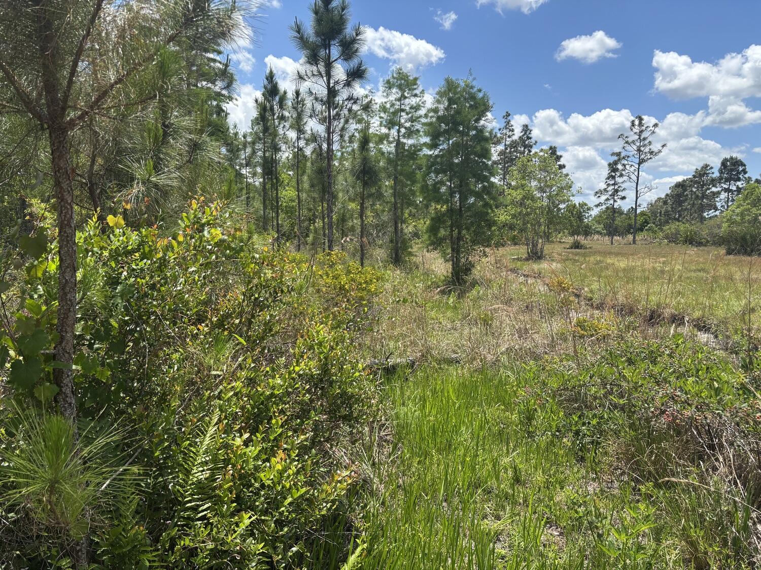 En Venta 0 Holopaw Groves Road, St. Cloud, FL 34772, St. Cloud, FL 34772