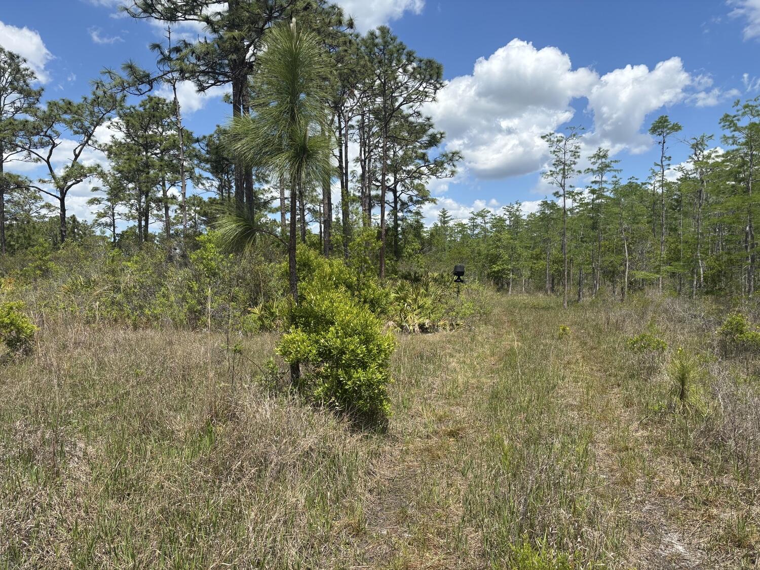 En Venta 0 Holopaw Groves Road, St. Cloud, FL 34772, St. Cloud, FL 34772