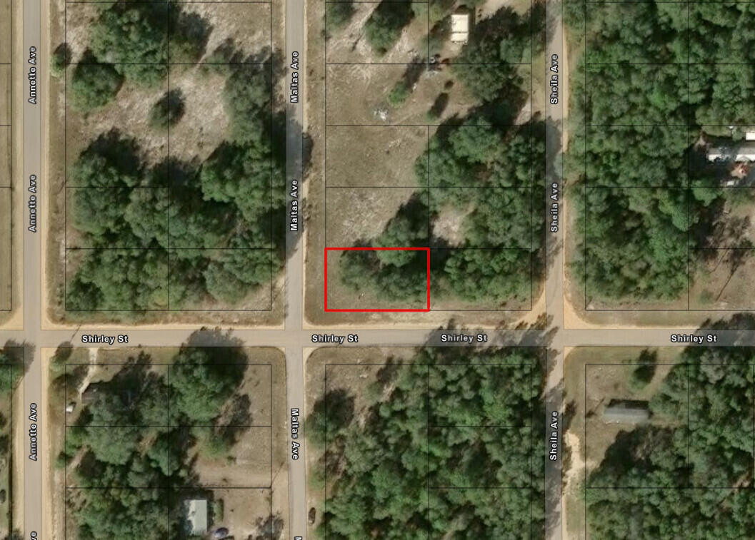 En Venta 0 Shirley Street, Interlachen, FL 32148, Interlachen, FL 32148