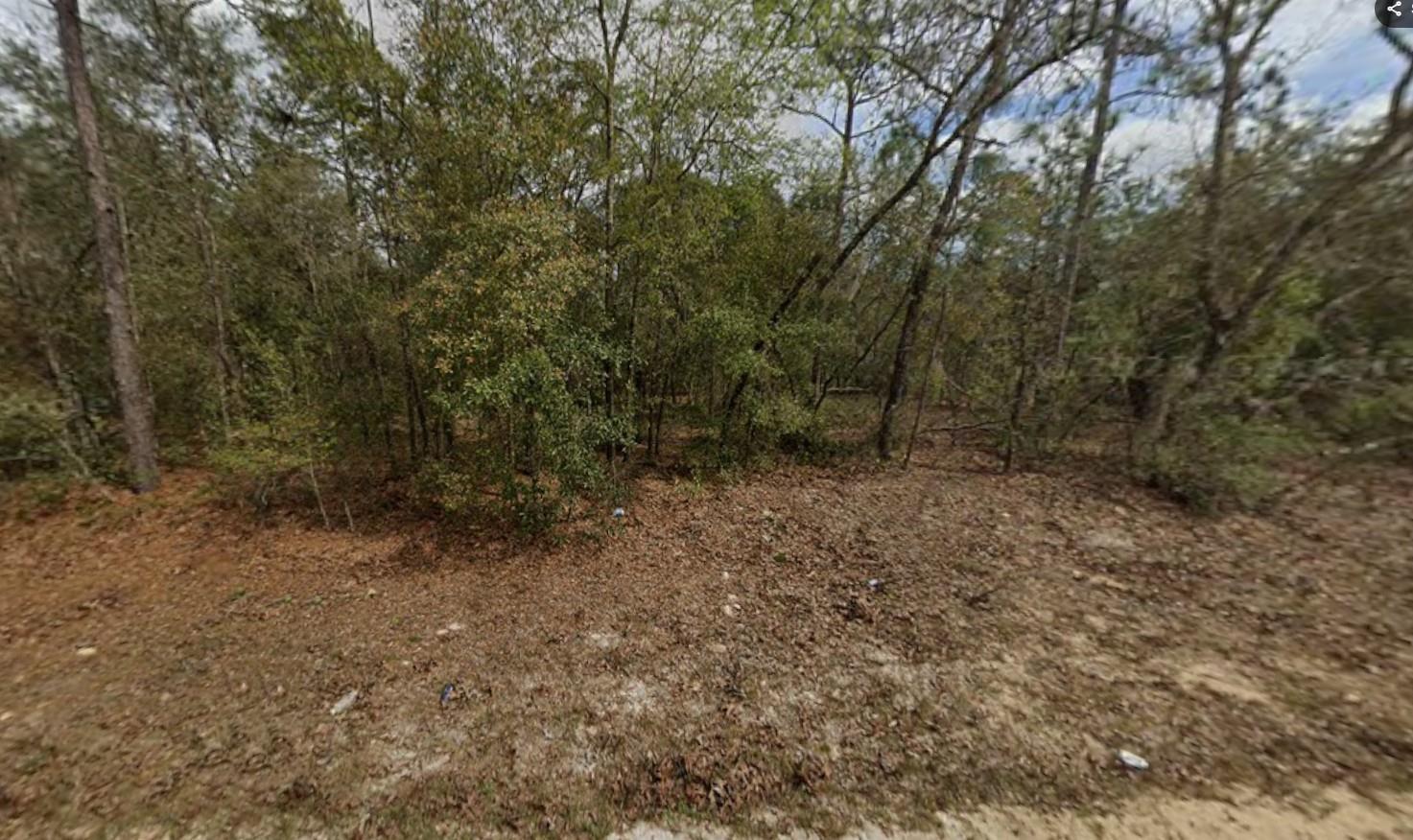 En Venta Lot 28 Janet Avenue, Interlachen, FL 32148, Interlachen, FL 32148