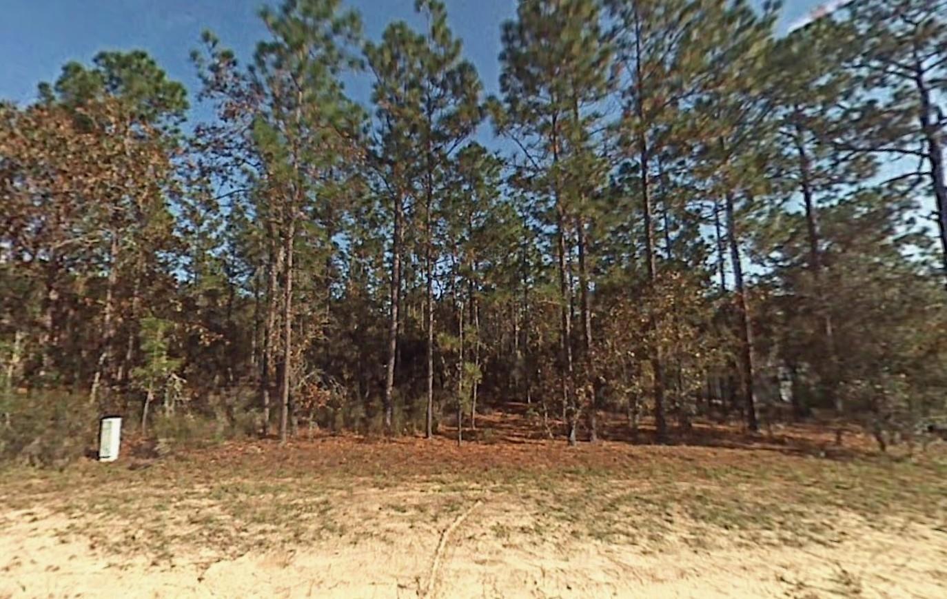 En Venta Tbd SW 166th Court Road, Ocala, FL 34432, Ocala, FL 34432