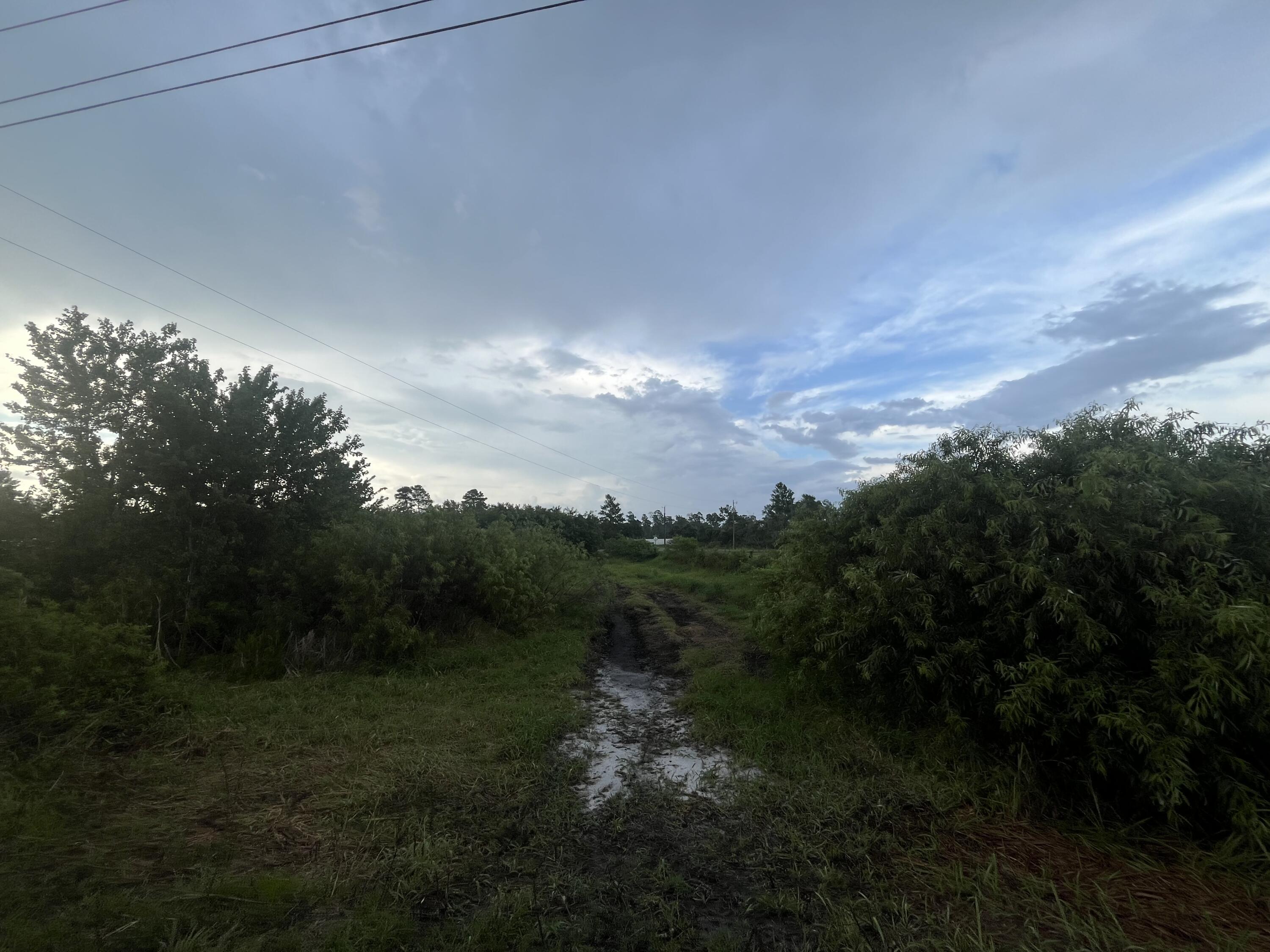 En Venta 0 E State Rd 60, Okeechobee, FL 34972, Okeechobee, FL 34972