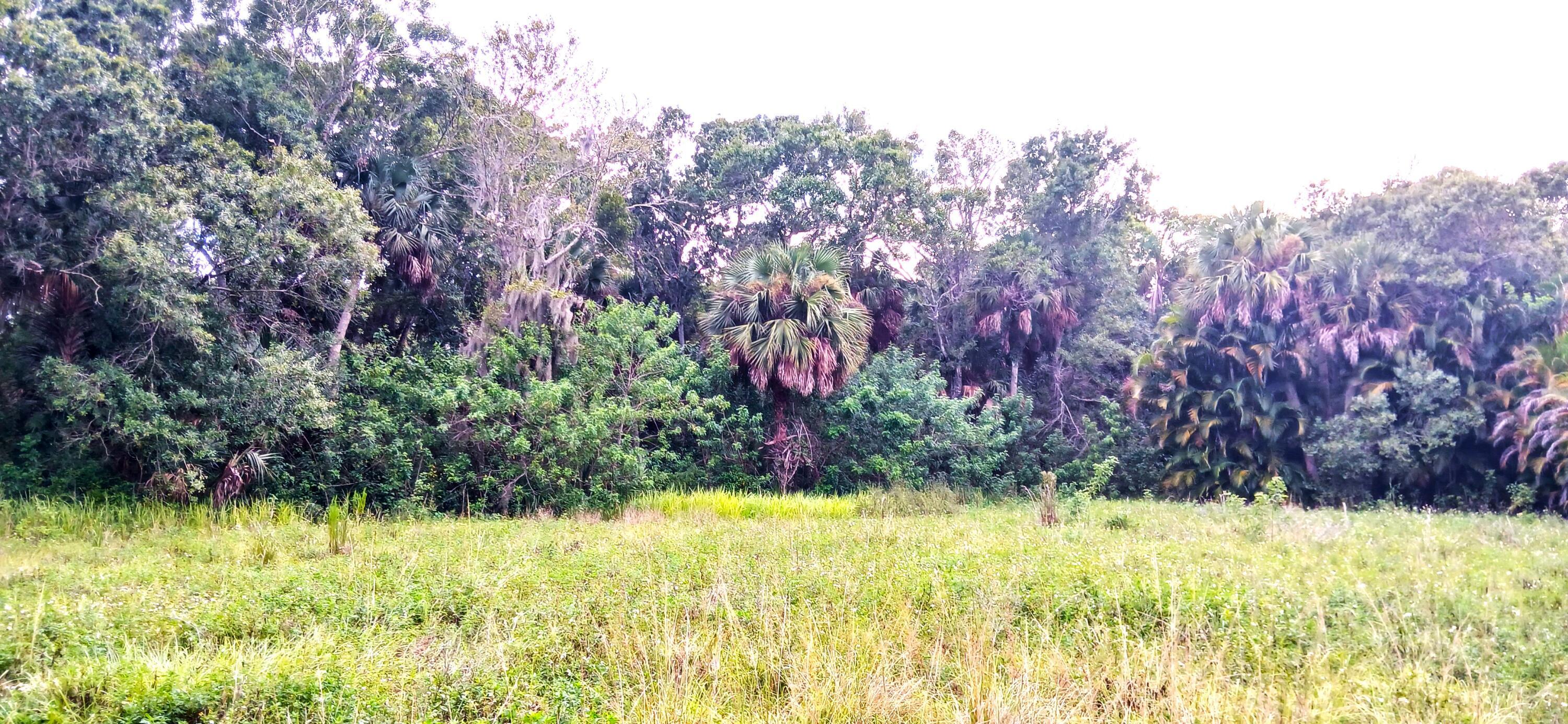 Foto de propiedad en 0000 S Us-1, Fort Pierce, FL 34982 Fort Pierce con MLS# 