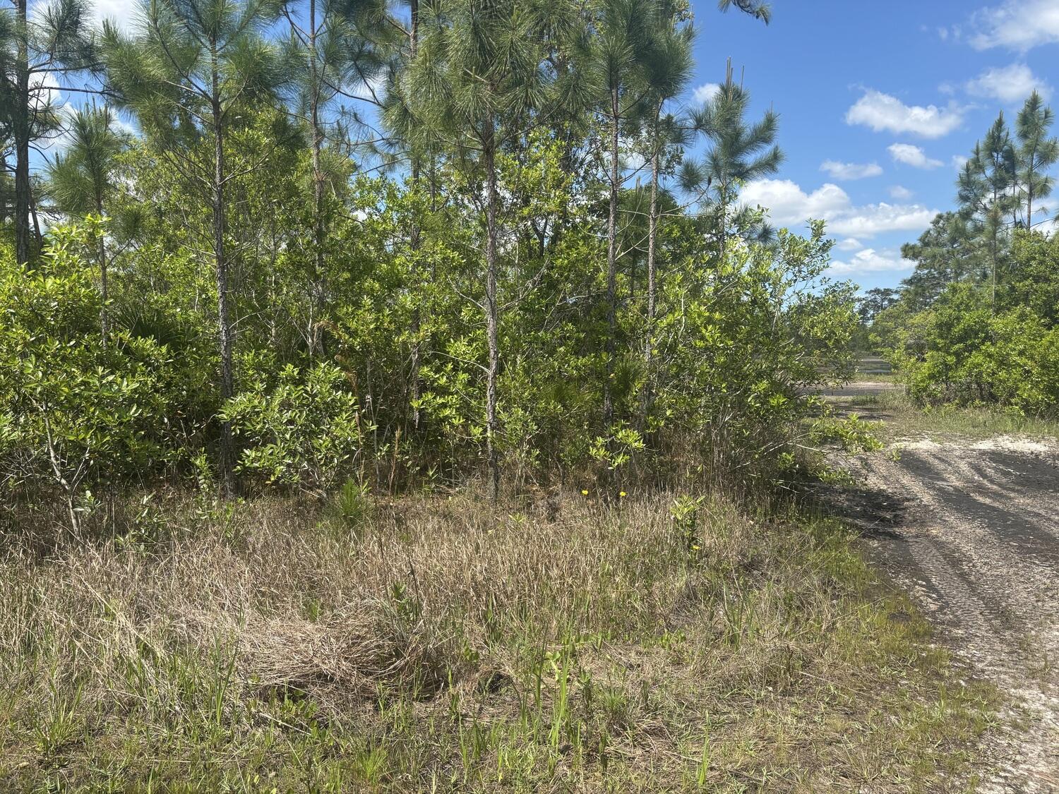 Foto de propiedad en 0 Holopaw Groves Road, St. Cloud, FL 34772 St. Cloud con MLS# 