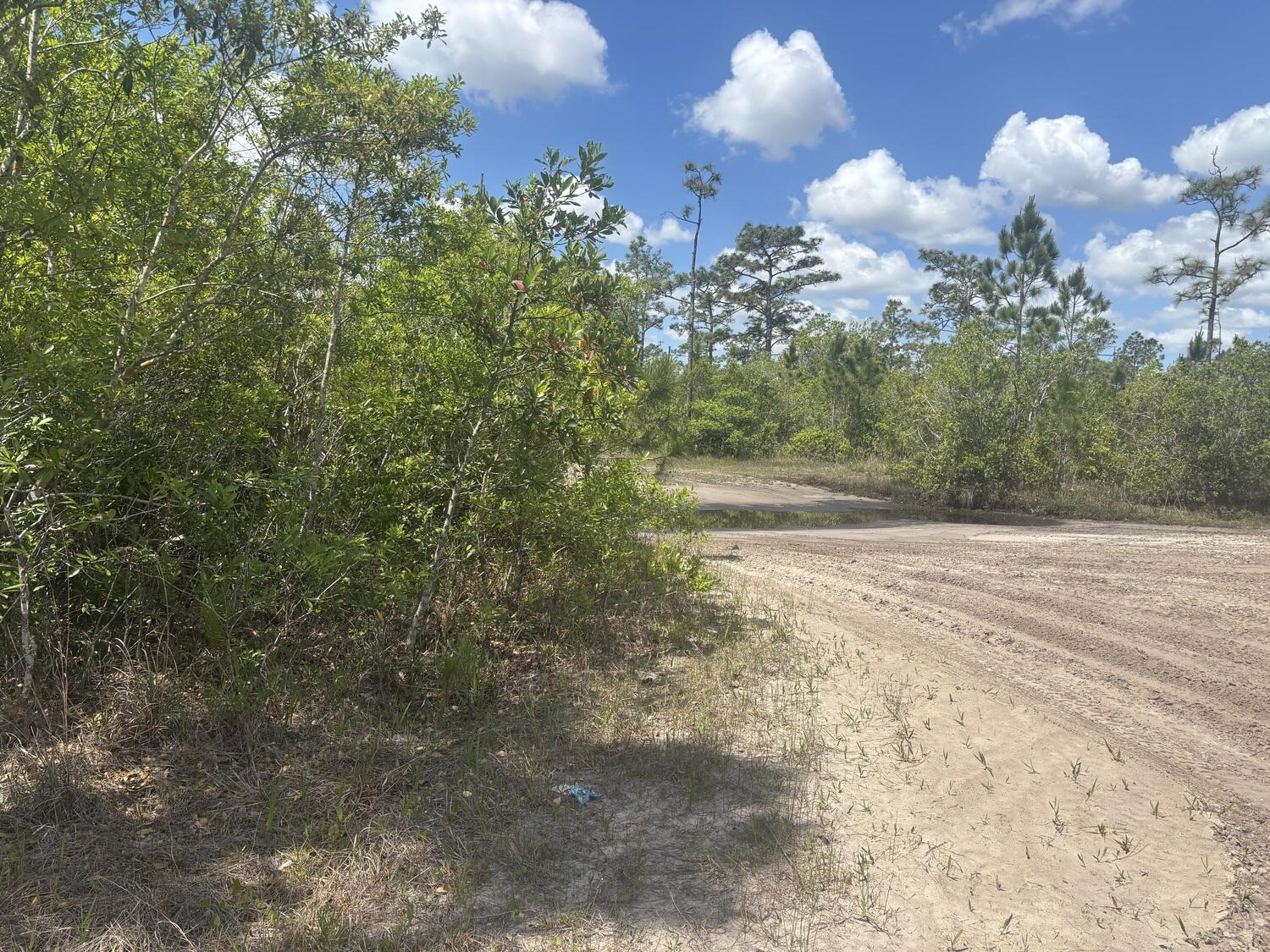 Foto de propiedad en 0 Holopaw Groves Road, St. Cloud, FL 34772 St. Cloud con MLS# 