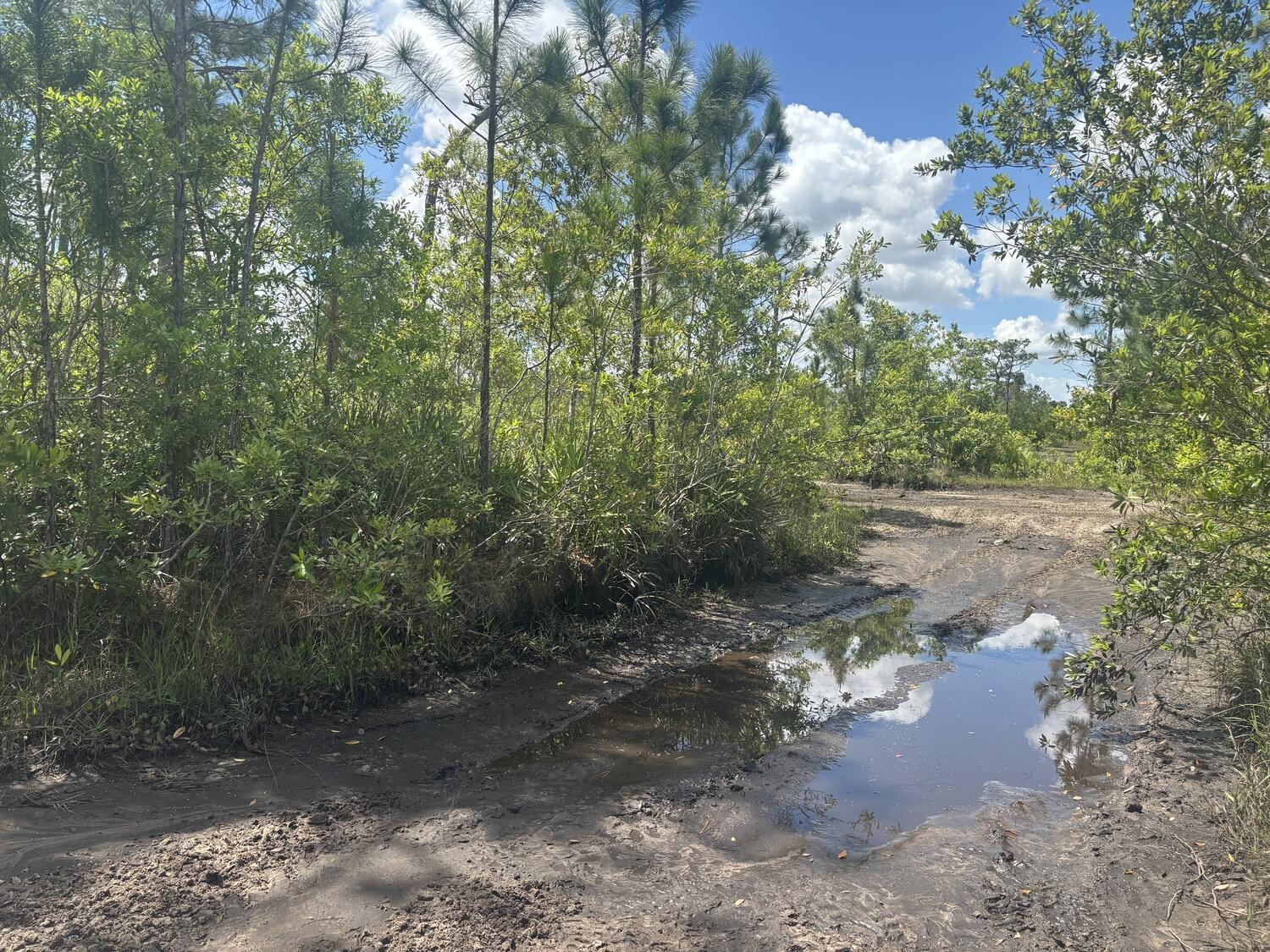 Foto de propiedad en 0 Holopaw Groves Road, St. Cloud, FL 34772 St. Cloud con MLS# 