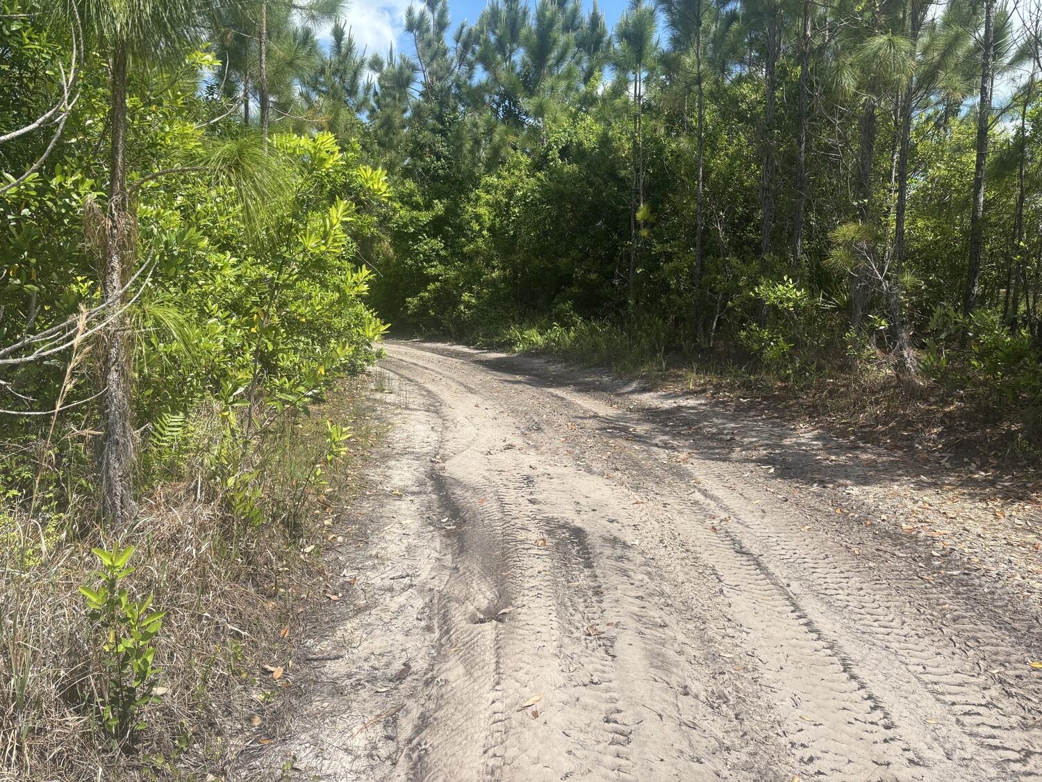 En Venta 0 Holopaw Groves Road, St. Cloud, FL 34772, St. Cloud, FL 34772