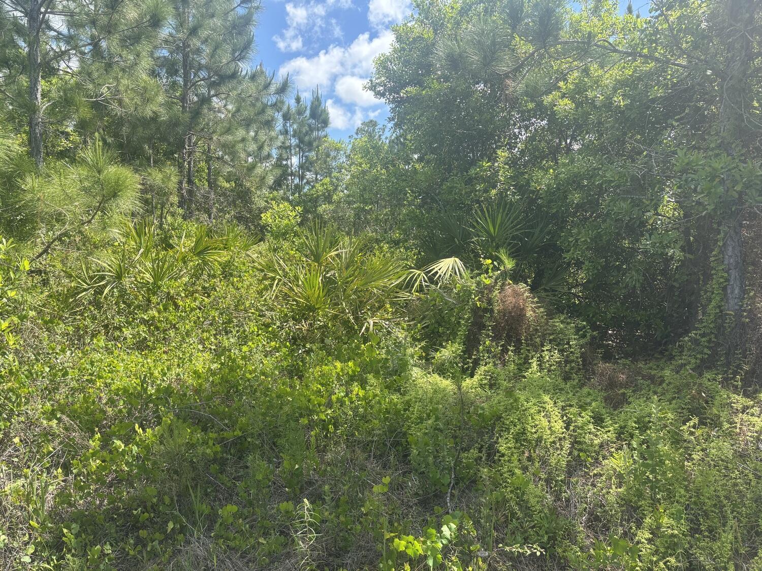 En Venta 0 Holopaw Groves Road, St. Cloud, FL 34772, St. Cloud, FL 34772