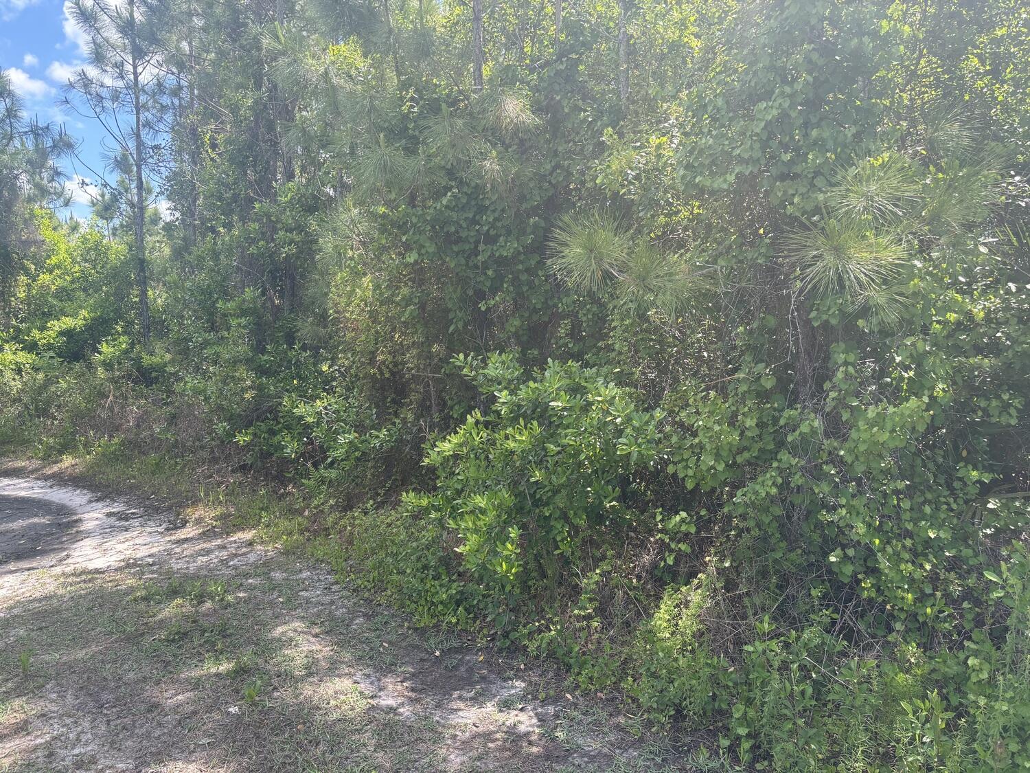 En Venta 0 Holopaw Groves Road, St. Cloud, FL 34772, St. Cloud, FL 34772