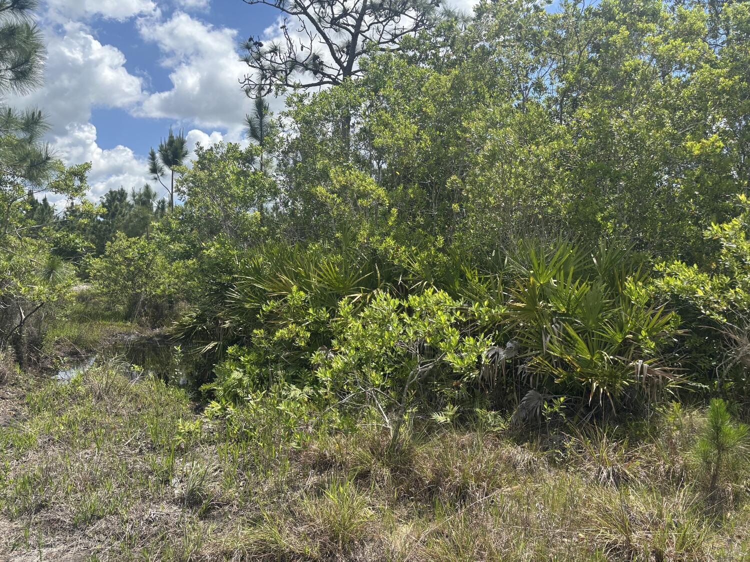 En Venta 0 Holopaw Groves Road, St. Cloud, FL 34772, St. Cloud, FL 34772