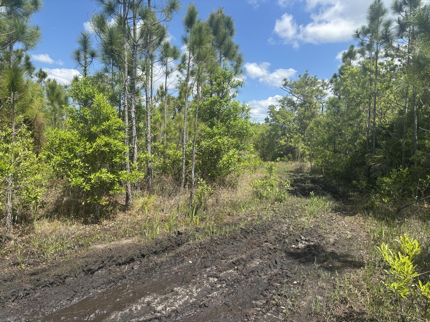 En Venta 0 Holopaw Groves Road, St. Cloud, FL 34772, St. Cloud, FL 34772
