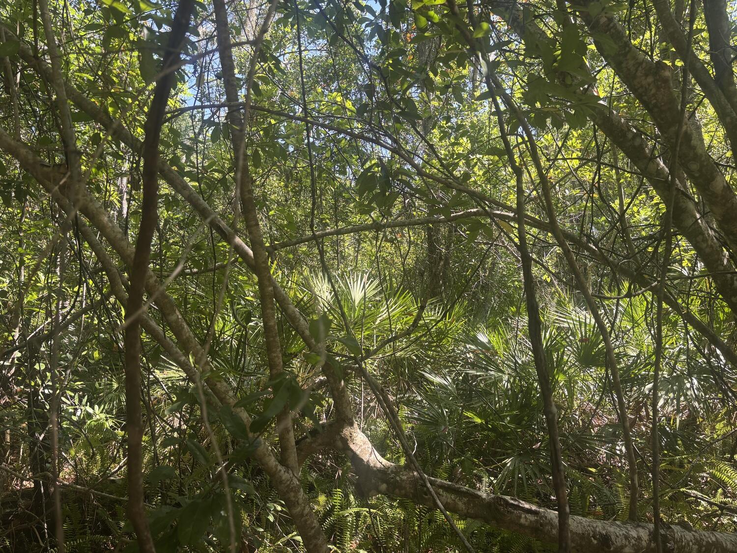 En Venta 536 Bright Hill Avenue, Lake Placid, FL 33852, Lake Placid, FL 33852