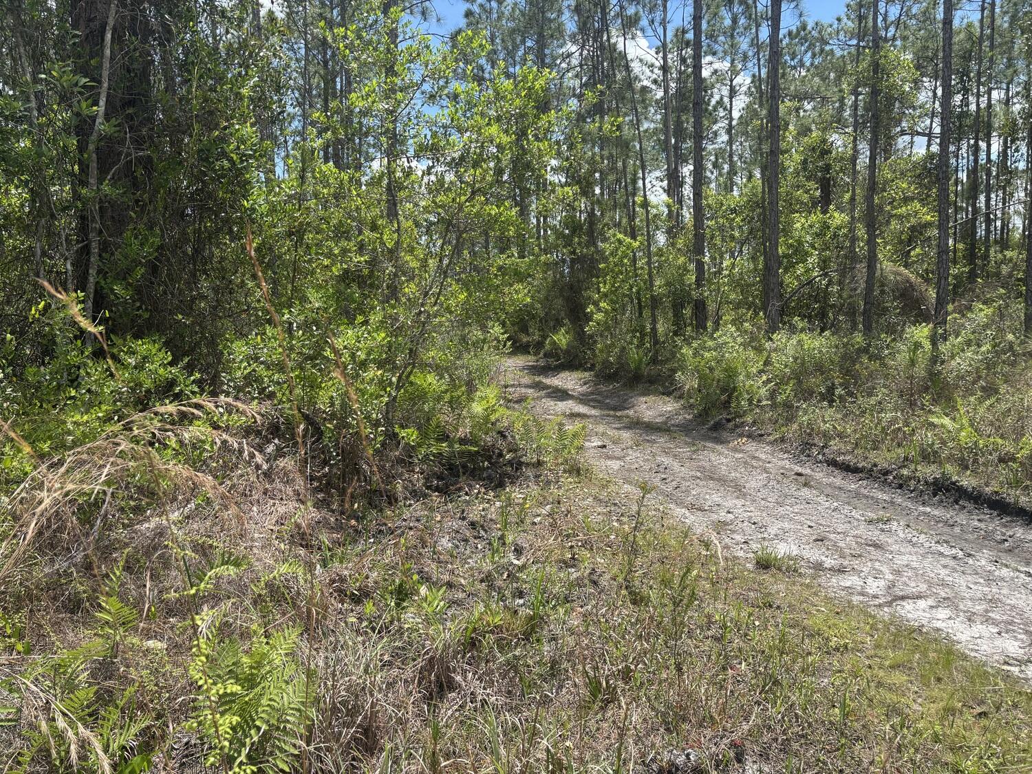 En Venta 0 Holopaw Groves Road, St. Cloud, FL 34772, St. Cloud, FL 34772