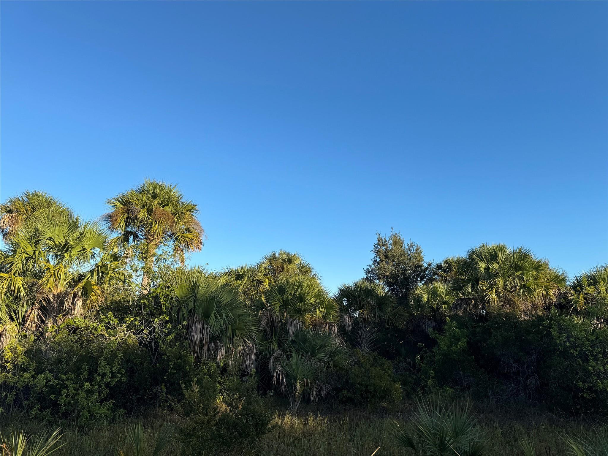 Foto de propiedad en 2025 Cabbage Lane, Okeechobee, FL 34974 Okeechobee con MLS# 