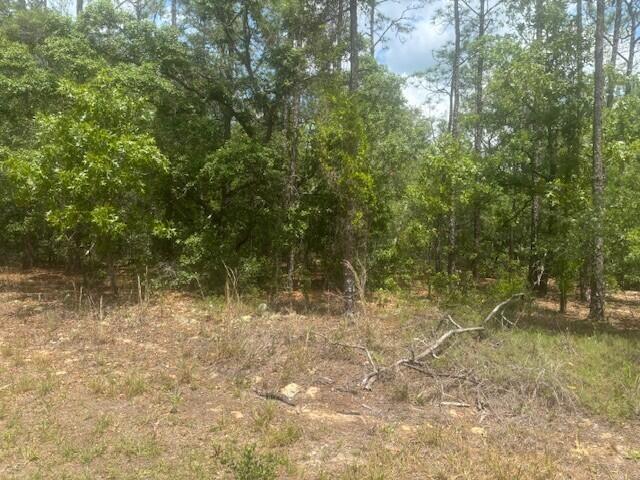 En Venta 8593 N Bambury Terrace, Citrus Springs, FL 34434, Citrus Springs, FL 34434