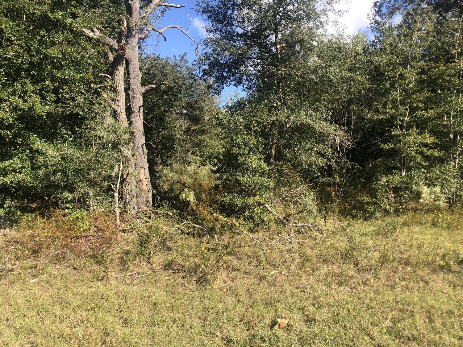En Venta 0 Dawn Avenue, Interlachen, FL 32148, Interlachen, FL 32148