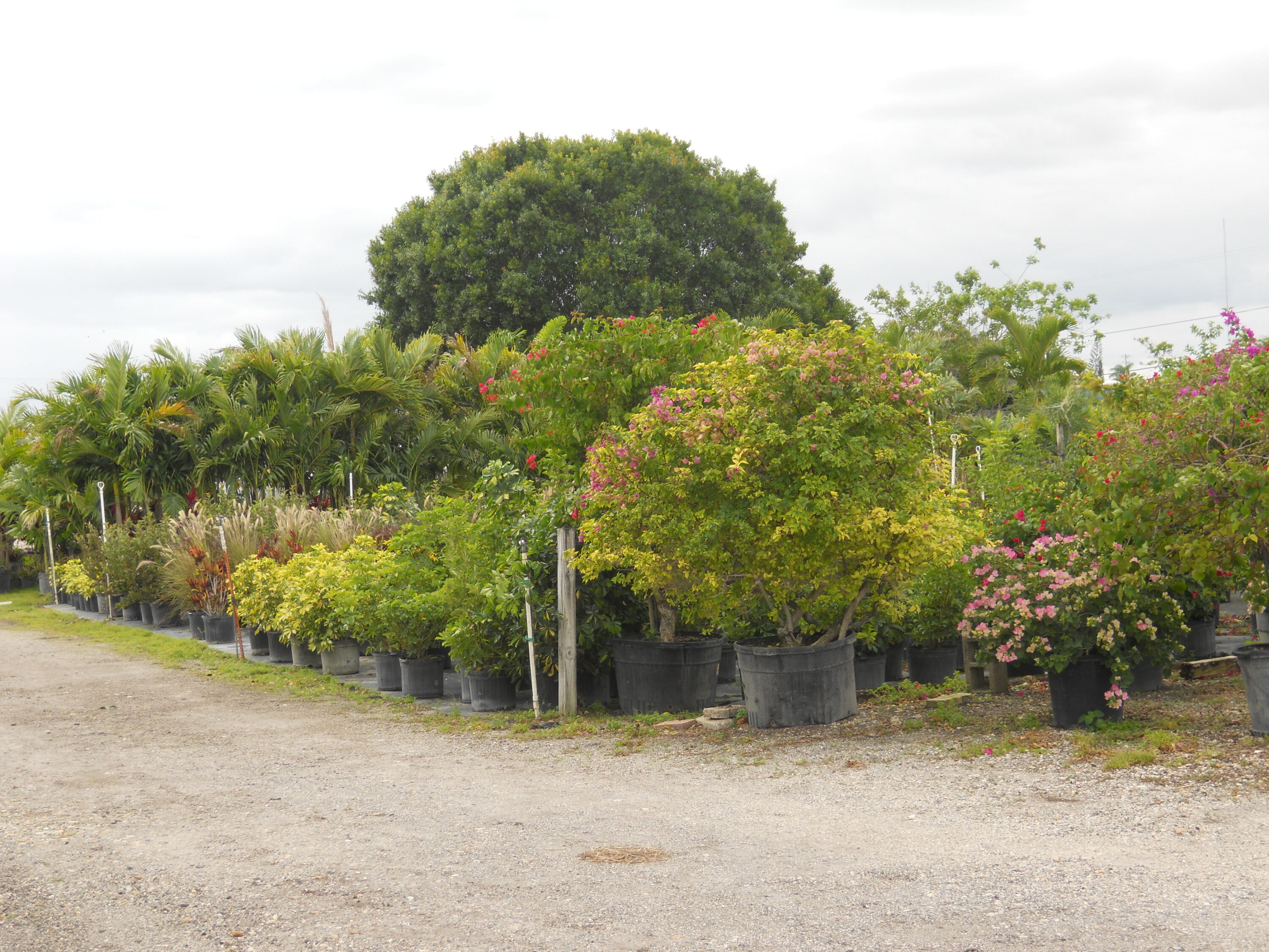 Foto de propiedad en 0000 Boynton Beach Blvd, Boynton Beach, FL Boynton Beach con MLS# 