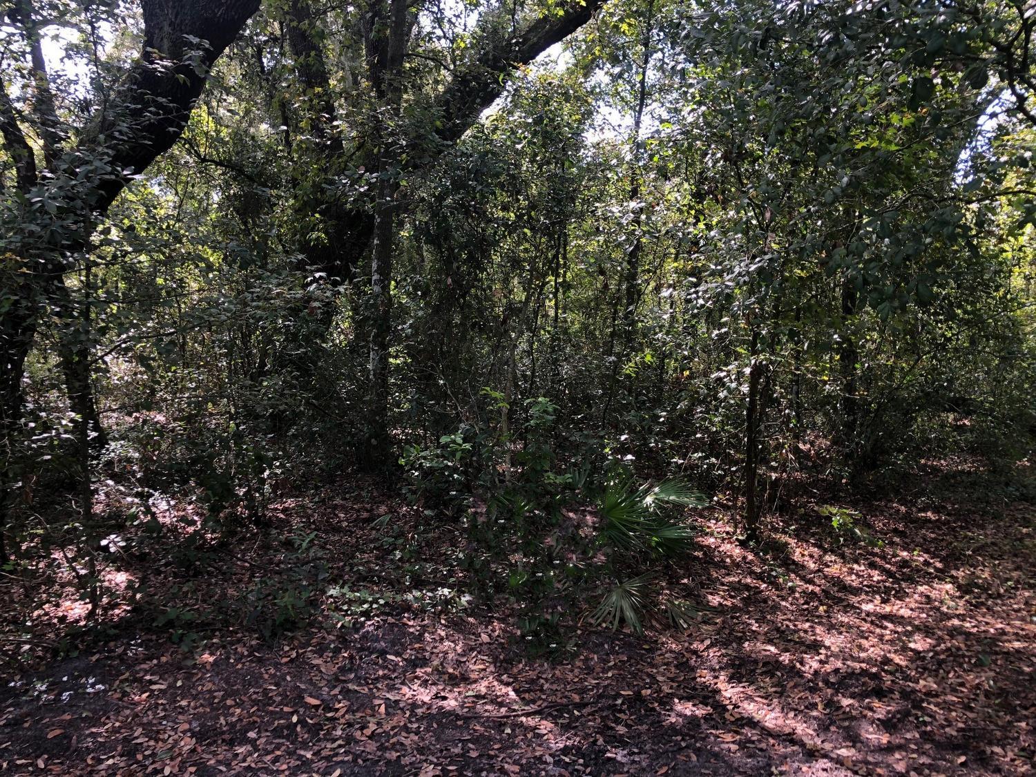 En Venta 0 Co Rd 54, Kathleen, FL 33849, Kathleen, FL 33849