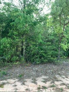 Foto de propiedad en 0 Gardenia Drive, Marianna, FL 32448 Marianna con MLS# 