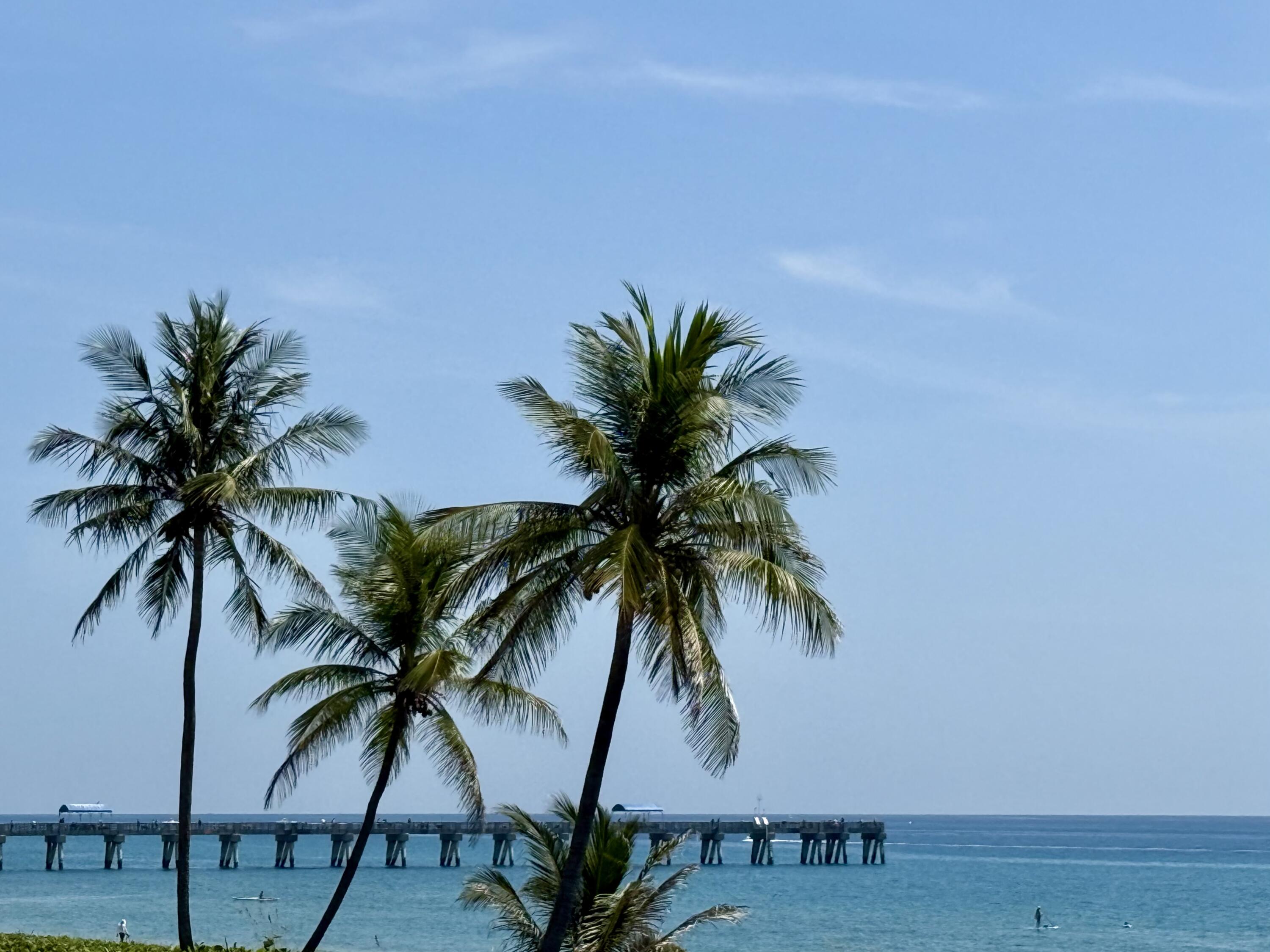 En Renta 3120 S Ocean Boulevard 1-101, Palm Beach, FL 33480, Palm Beach, FL 33480