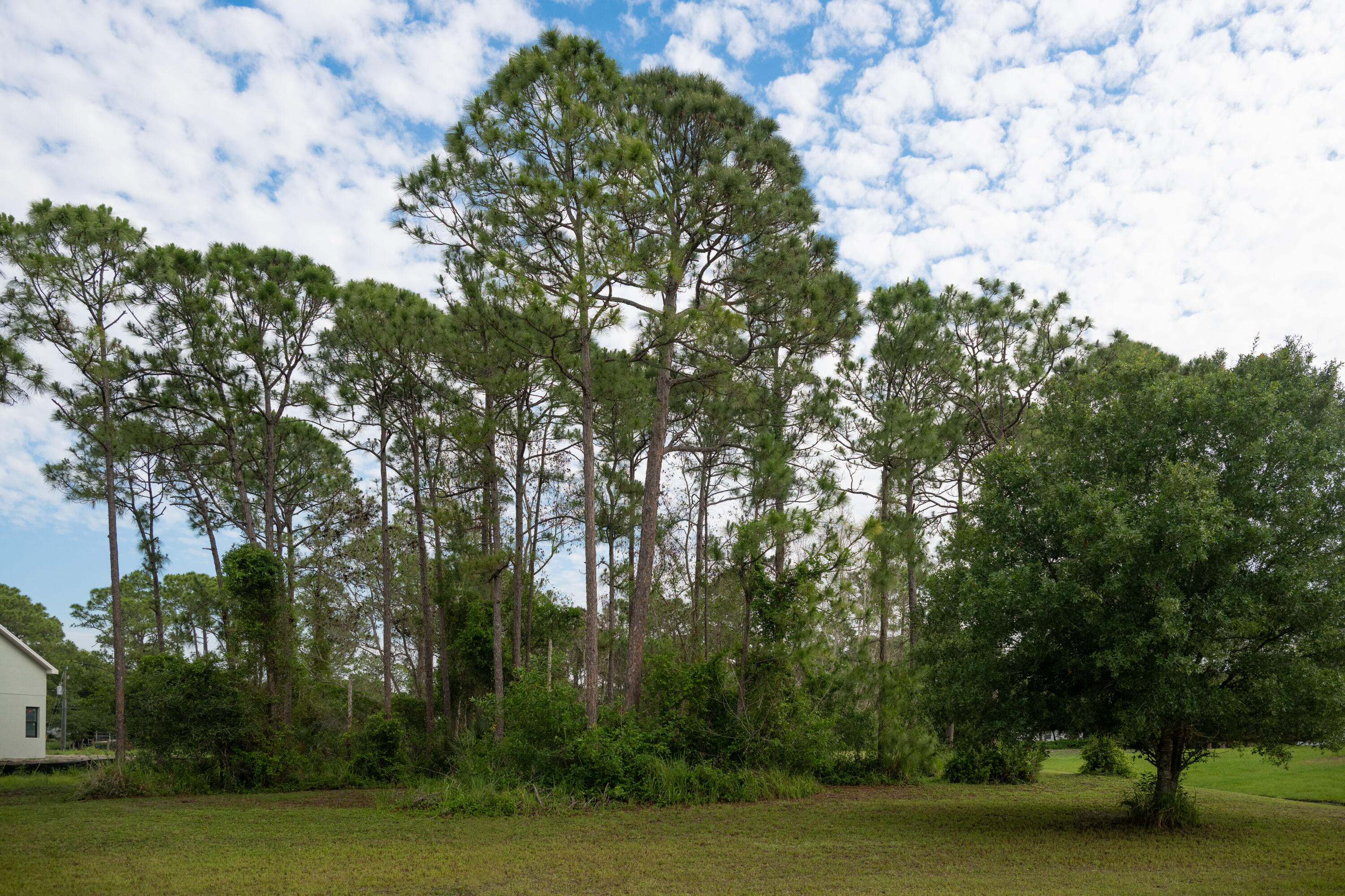 Foto de propiedad en 10638 Sugar Pine Drive, Fort Pierce, FL 34945 Fort Pierce con MLS# 