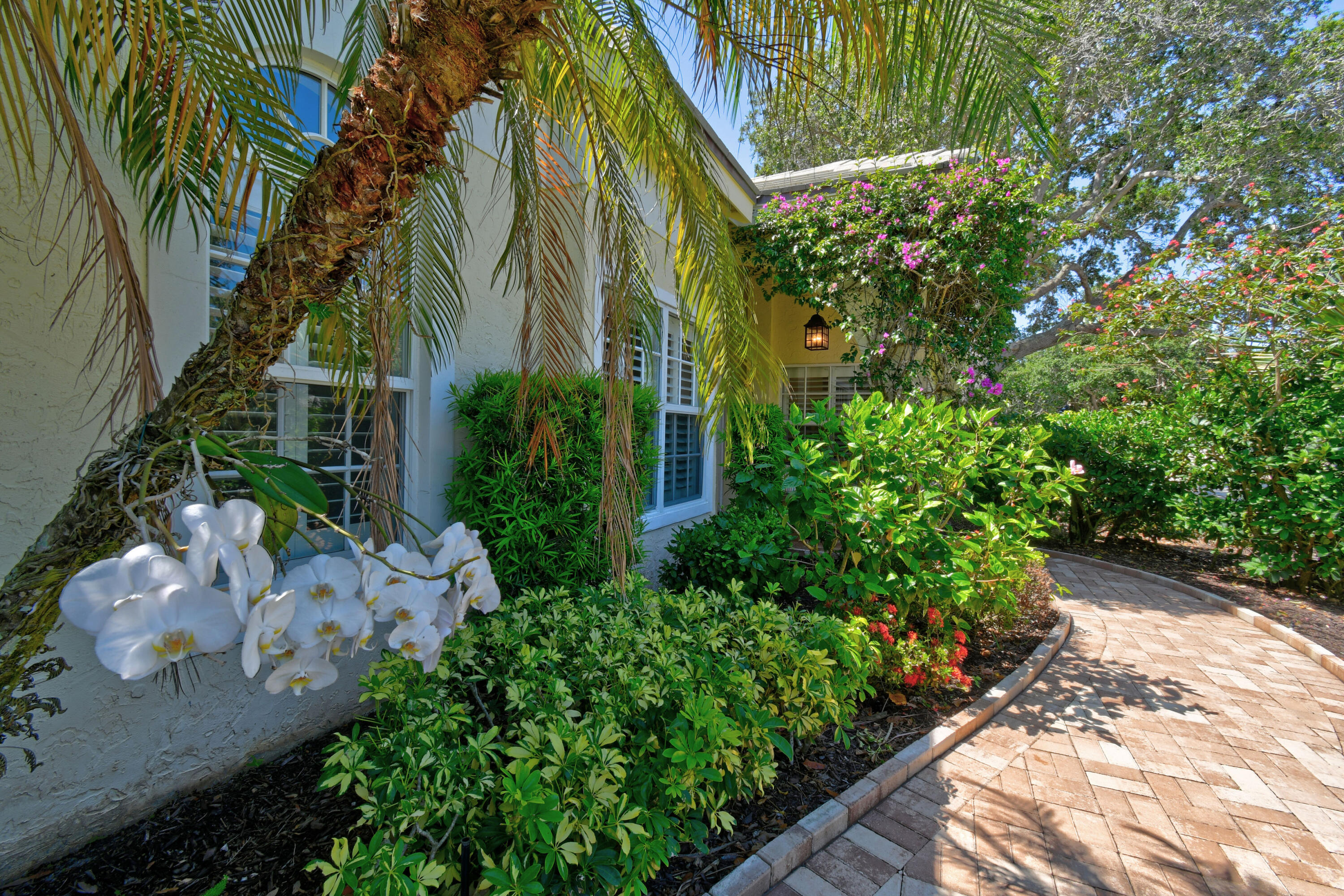 Lush Garden Walkway Landscaping