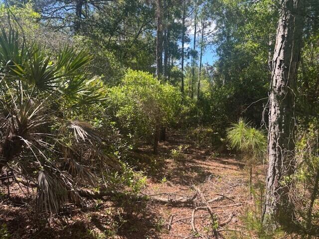 Foto de propiedad en 0 Golden Shores Blvd, Mims, FL 32754 Mims con MLS# 