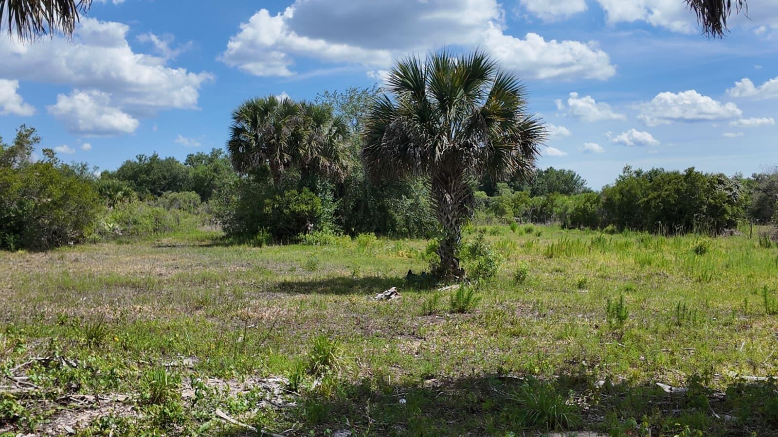 En Venta 18980 NW 274th Street, Okeechobee, FL 34972, Okeechobee, FL 34972