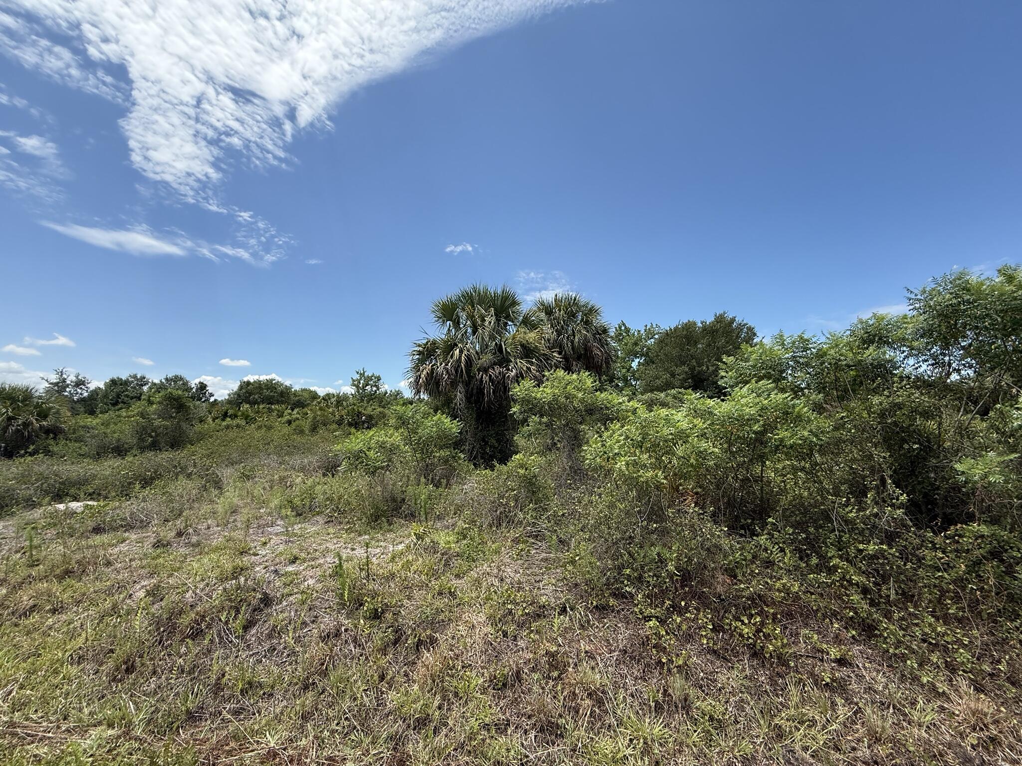 En Venta 20174 NW 268th Street, Okeechobee, FL 34972, Okeechobee, FL 34972