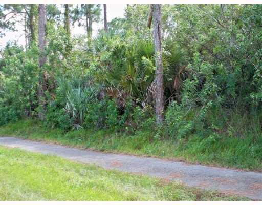 En Venta Xx Sycamore Drive W, FL 33470, FL 33470