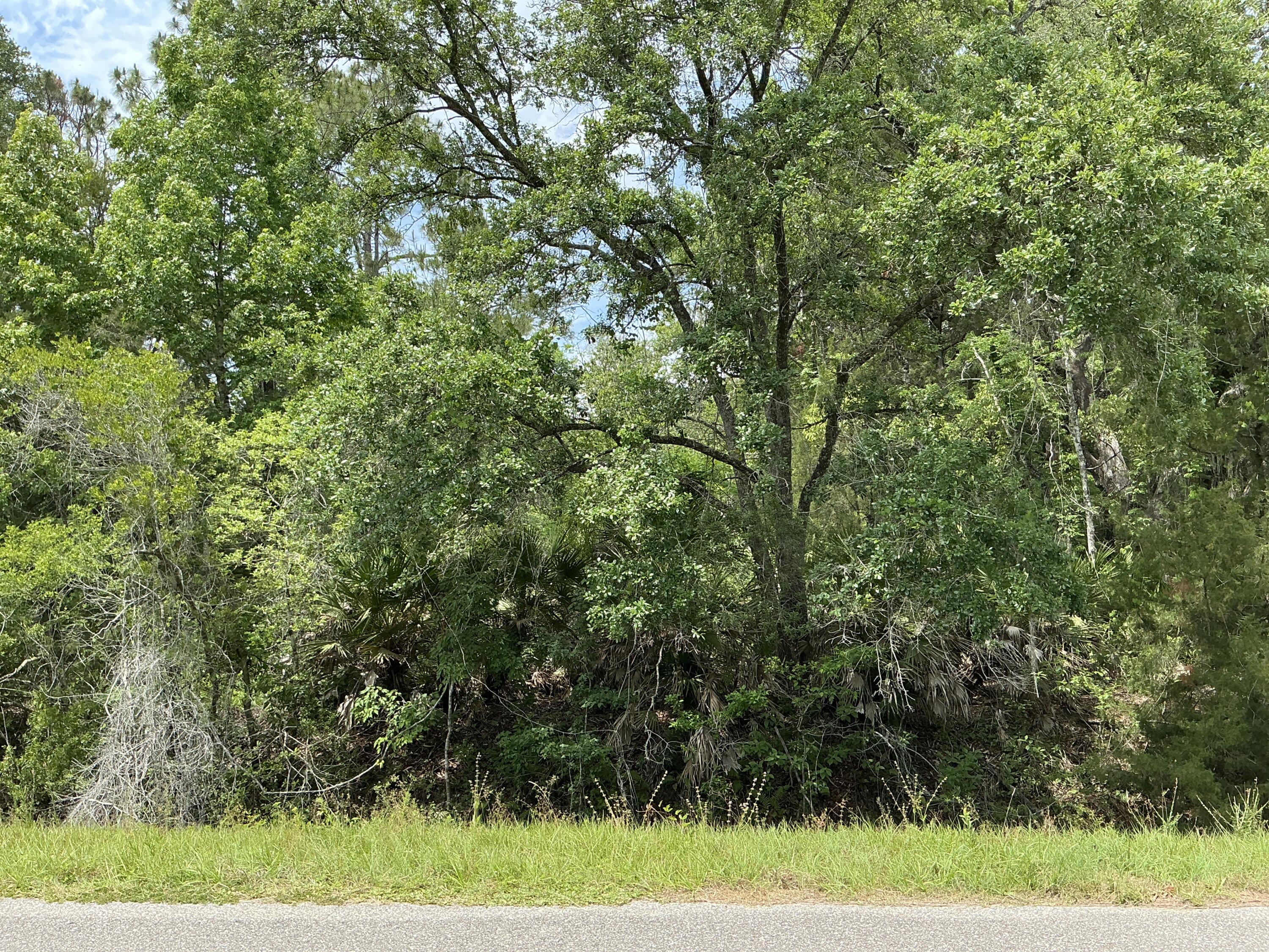 Foto de propiedad en 5020 Stephen Street, Hastings, FL 32145 Hastings con MLS# 