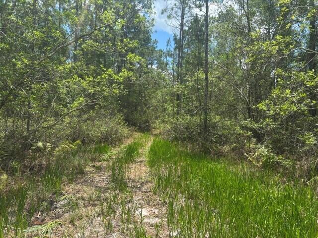 Foto de propiedad en 0 Water Road, Clermont, FL 33868 Clermont con MLS# 