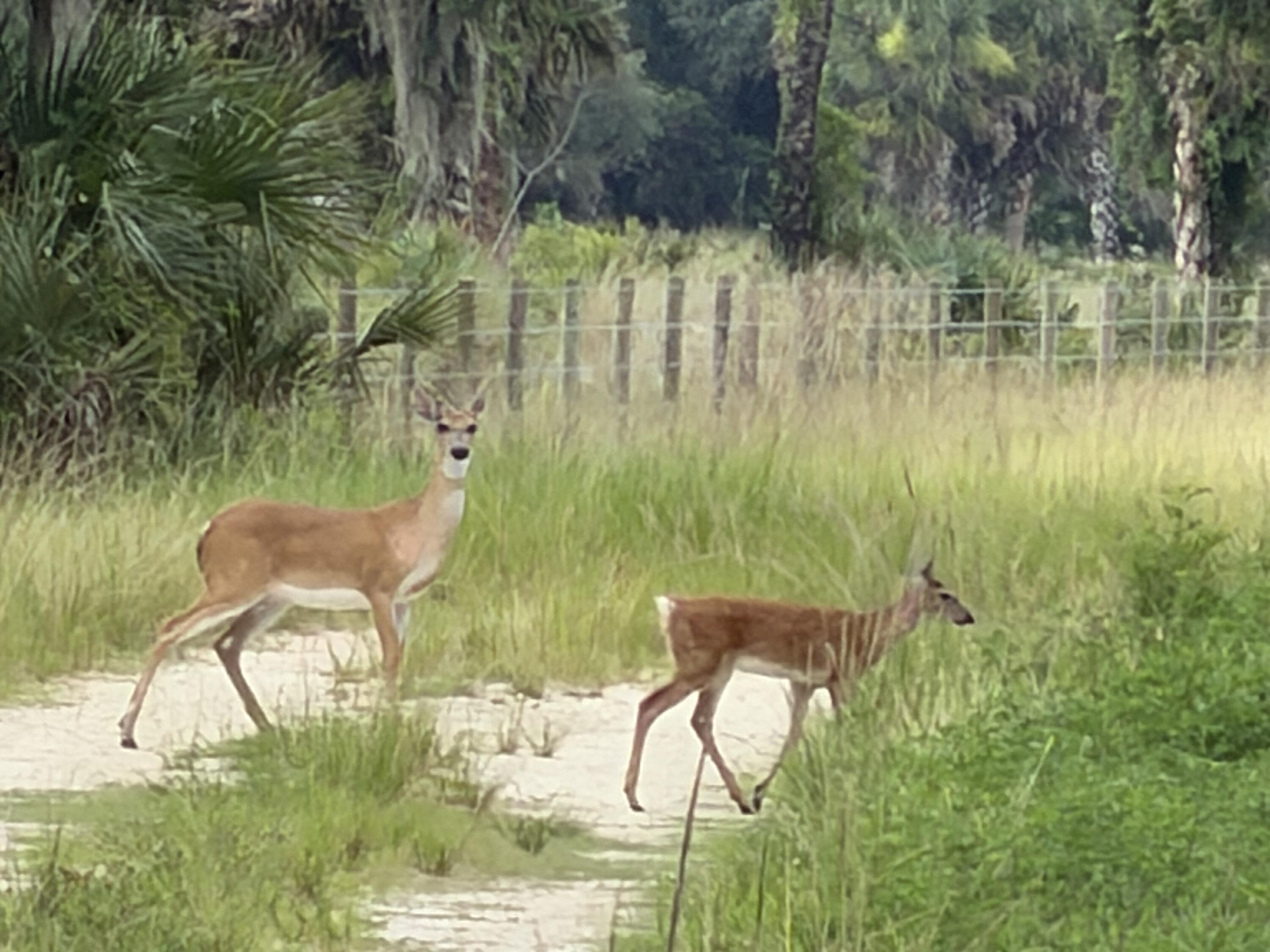 En Venta 0 Co Rd 832, Clewiston, FL 33440, Clewiston, FL 33440