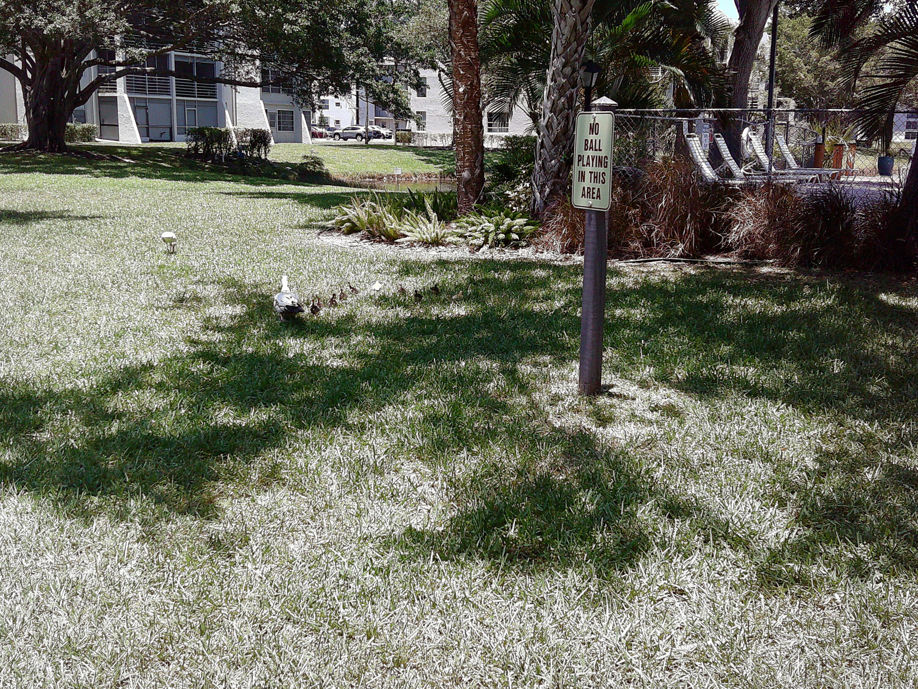 En Renta 9420 Poinciana Place 409, Davie, FL 33324, Davie, FL 33324