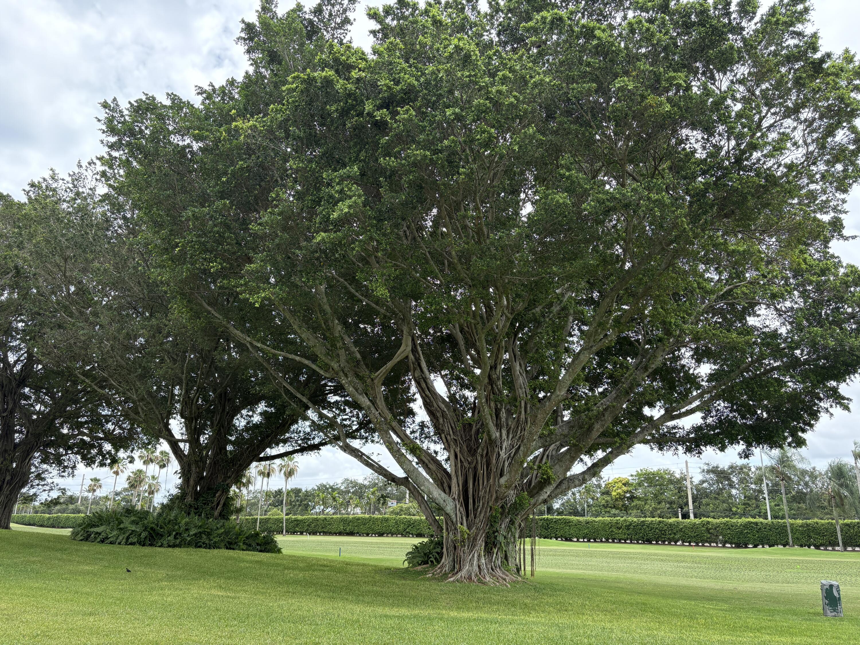 En Renta 9820 S Hollybrook Lake Drive 110, Pembroke Pines, FL 33025, Pembroke Pines, FL 33025