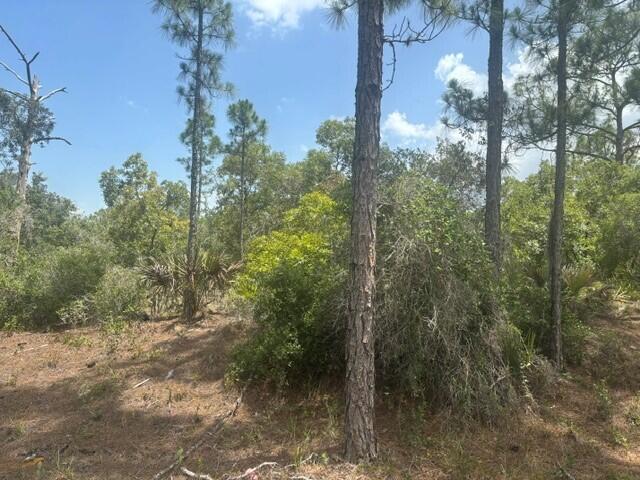 En Venta 387 Marionette Avenue, Lake Placid, FL 33852, Lake Placid, FL 33852