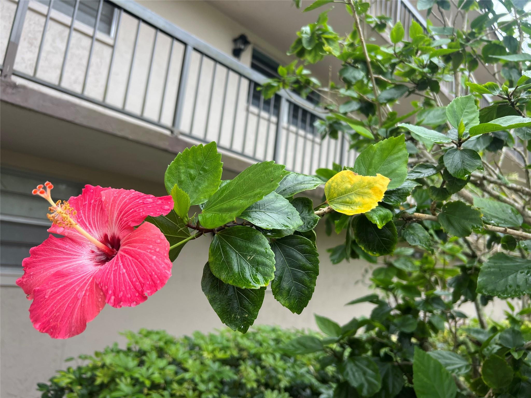 Foto de propiedad en 7450 NW 17th Street 110, Plantation, FL 33313 Plantation con MLS# 
