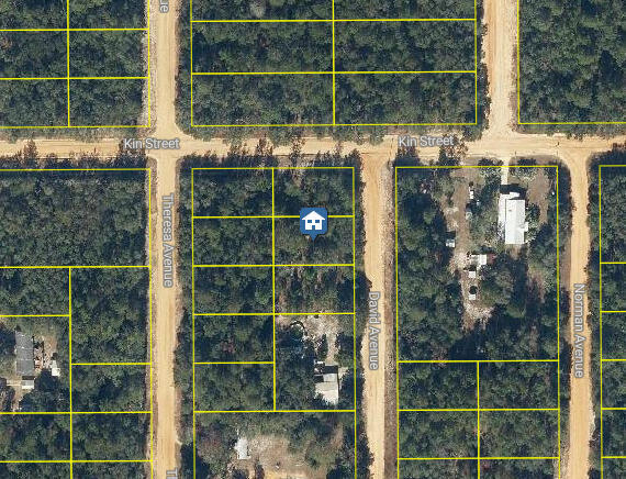 En Venta Lot 31 David Avenue, Interlachen, FL 32148, Interlachen, FL 32148