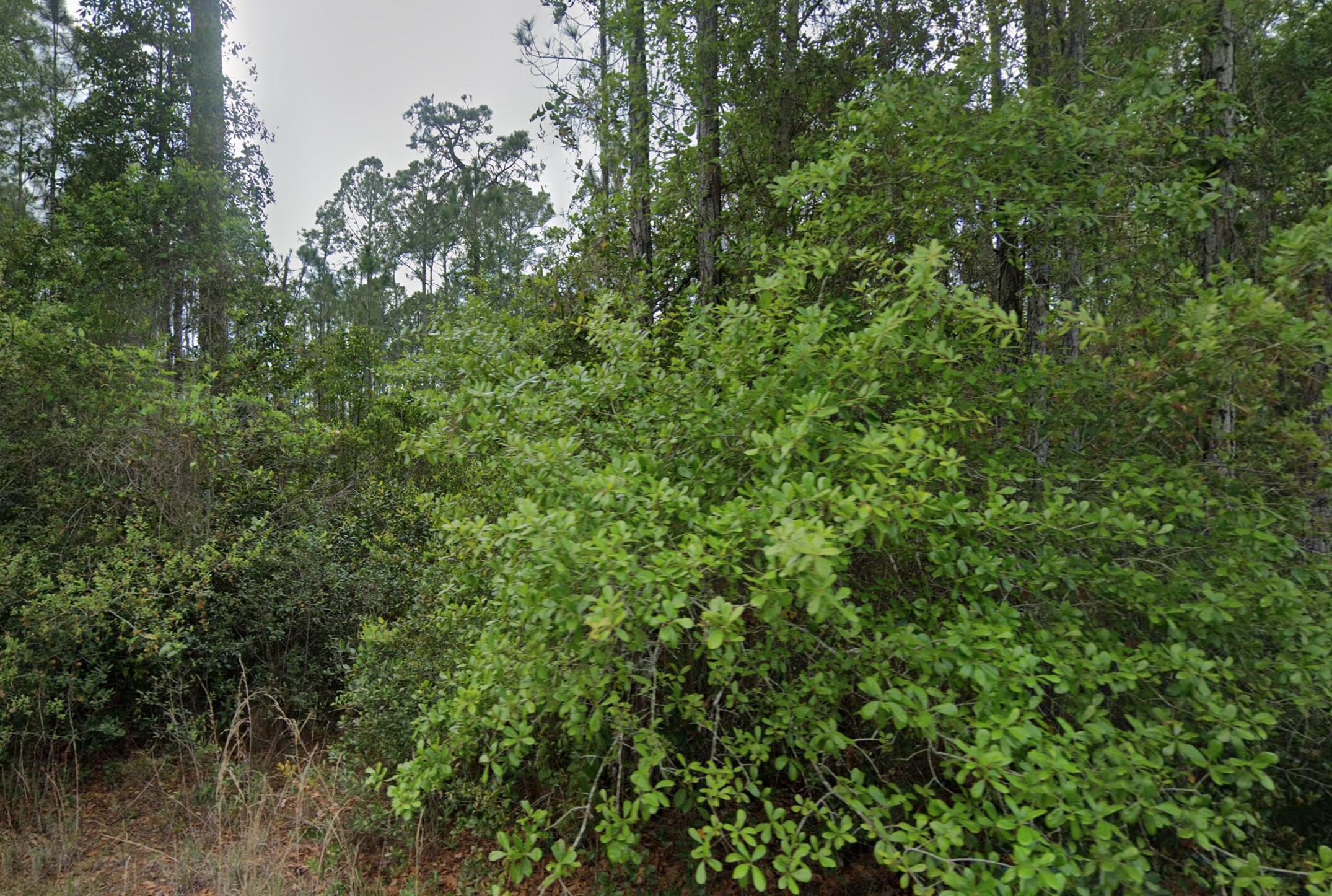 En Venta 107 Glenside Street, Georgetown, FL 32139, Georgetown, FL 32139