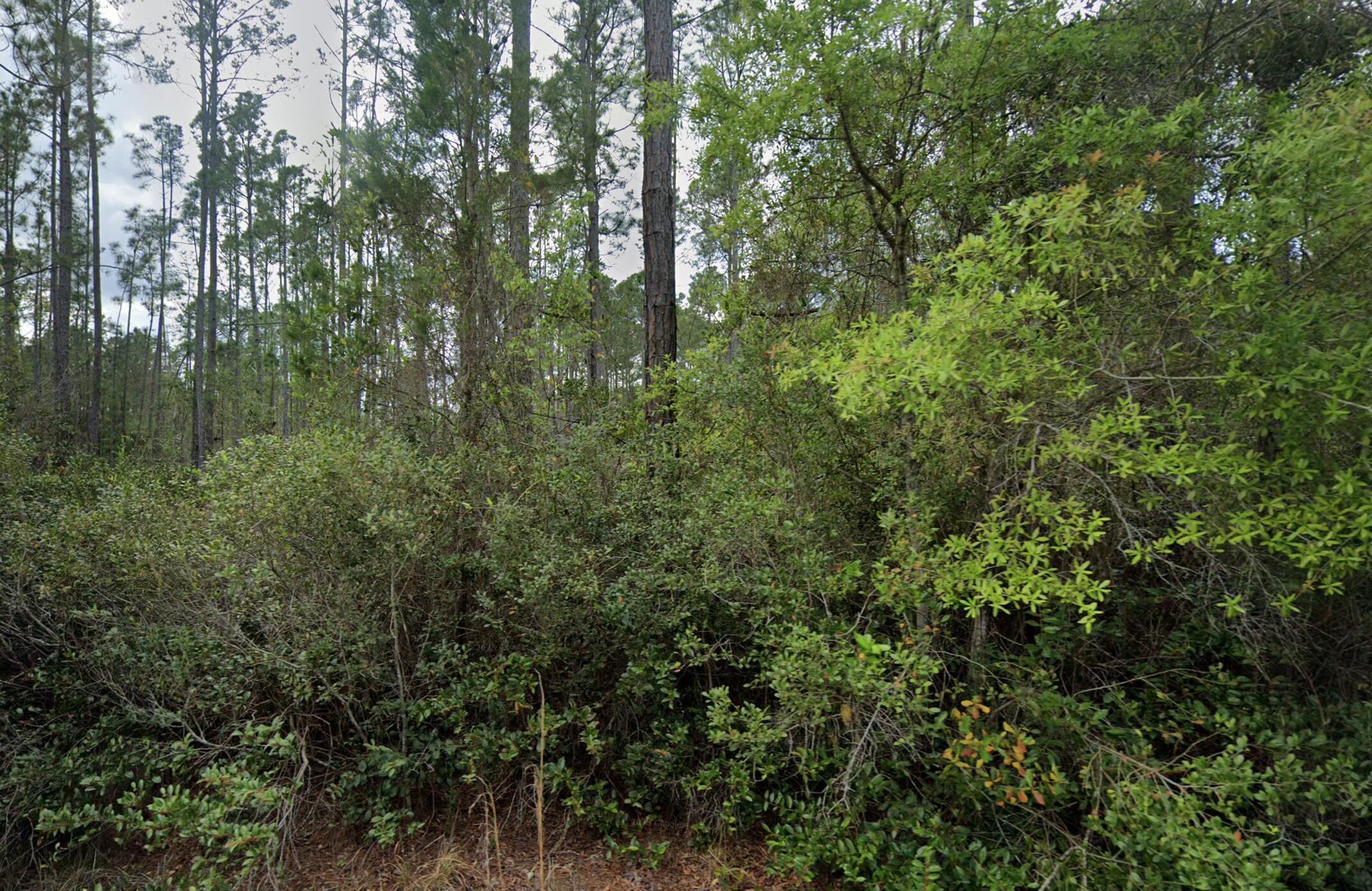 En Venta 105 Glenside Street, Georgetown, FL 32139, Georgetown, FL 32139