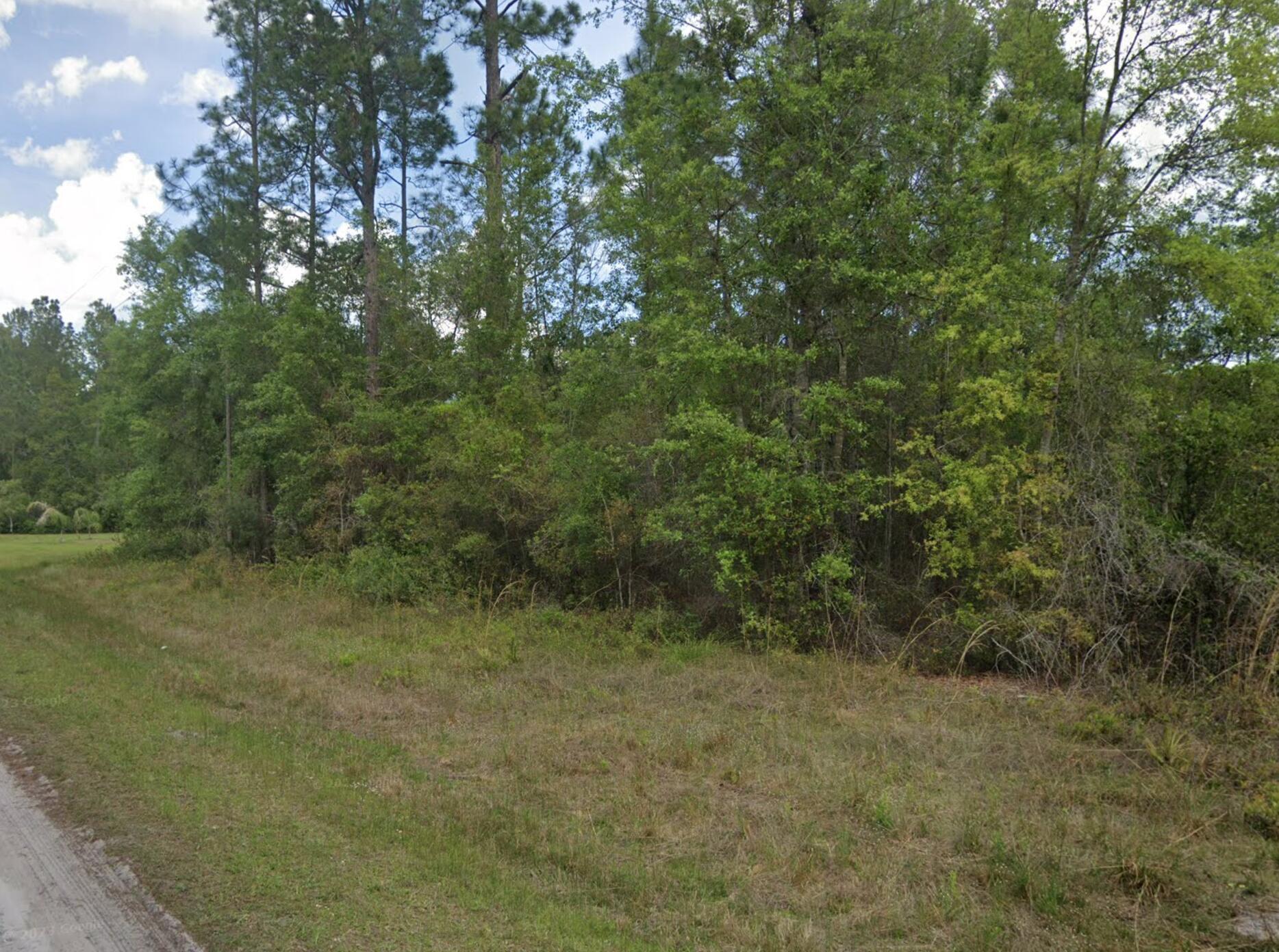 En Venta 103 Glenside Street, Georgetown, FL 32139, Georgetown, FL 32139