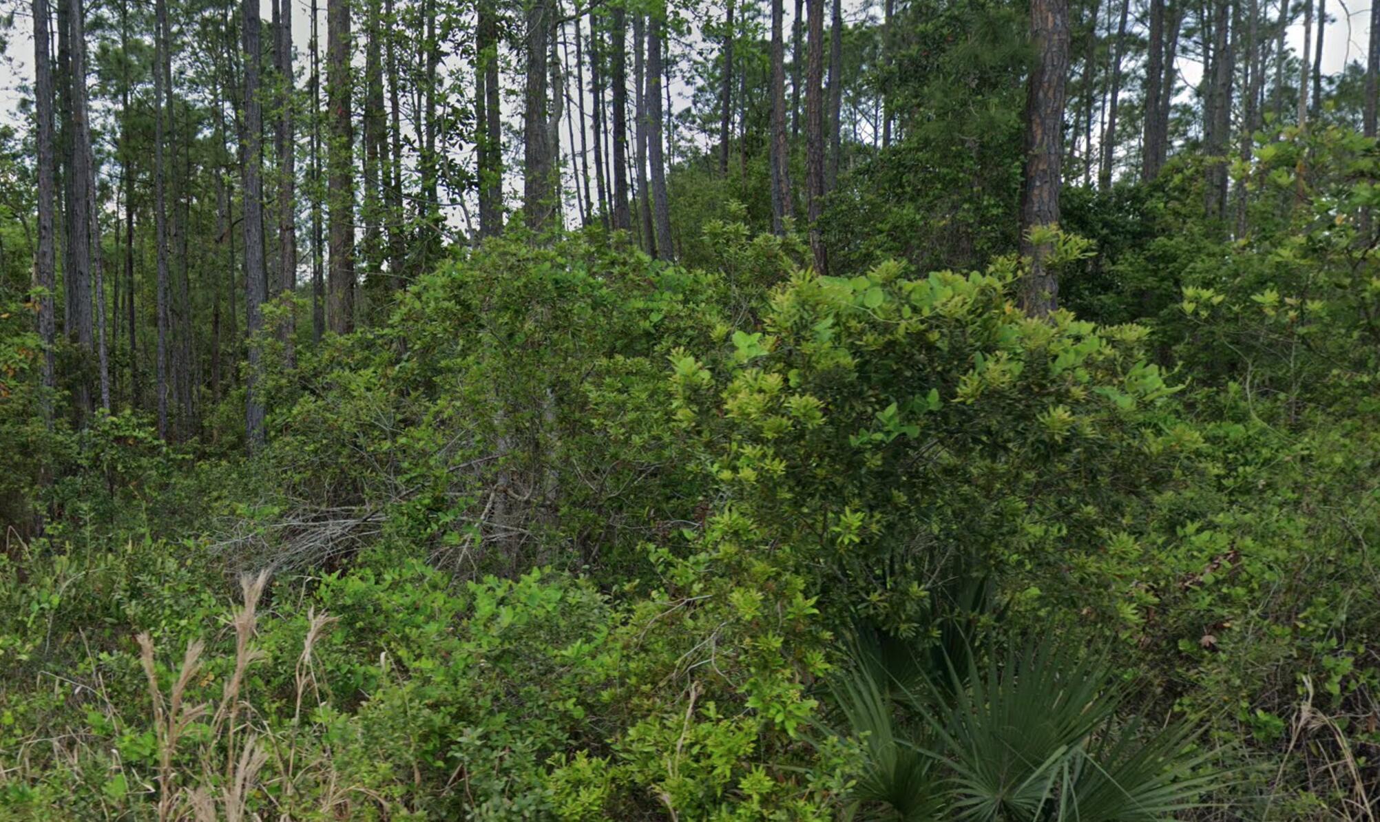 En Venta 00 Glenside Street, Georgetown, FL 32139, Georgetown, FL 32139