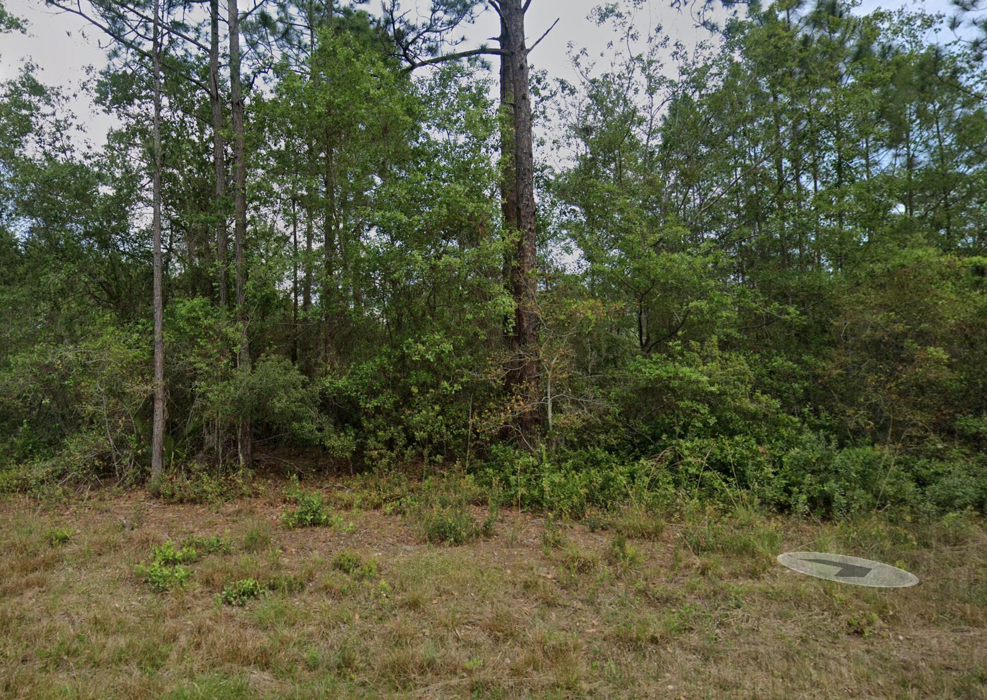 En Venta 124 Roebuck Street, Georgetown, FL 32139, Georgetown, FL 32139