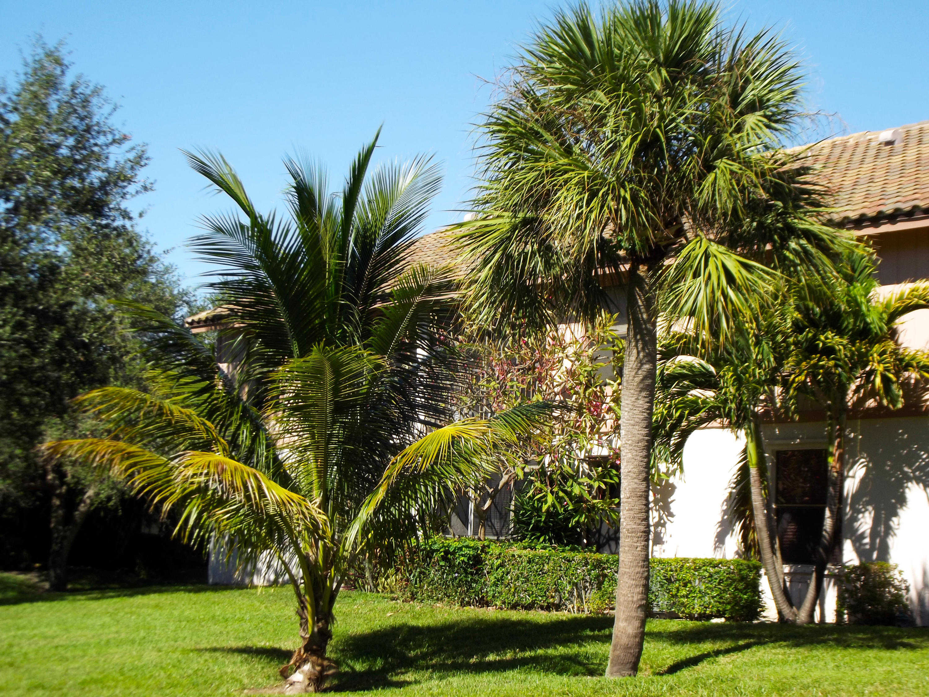En Renta 3355 Jaywood Terrace 2140, Boca Raton, FL 33431, Boca Raton, FL 33431