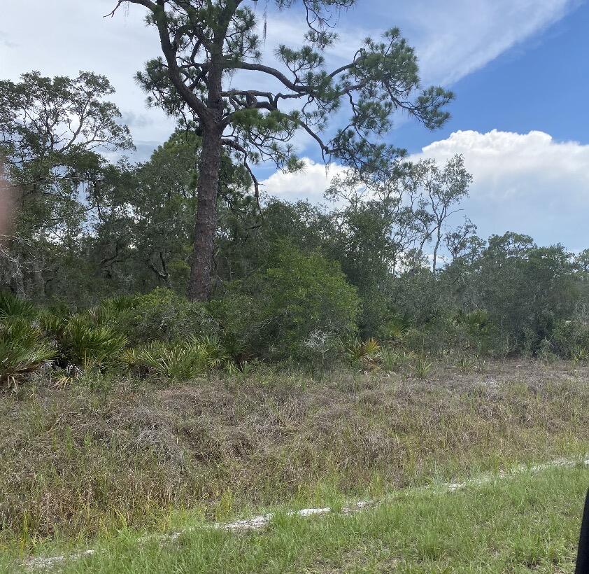 En Venta 1002 Archie Summers Road, Lake Placid, FL 33852, Lake Placid, FL 33852