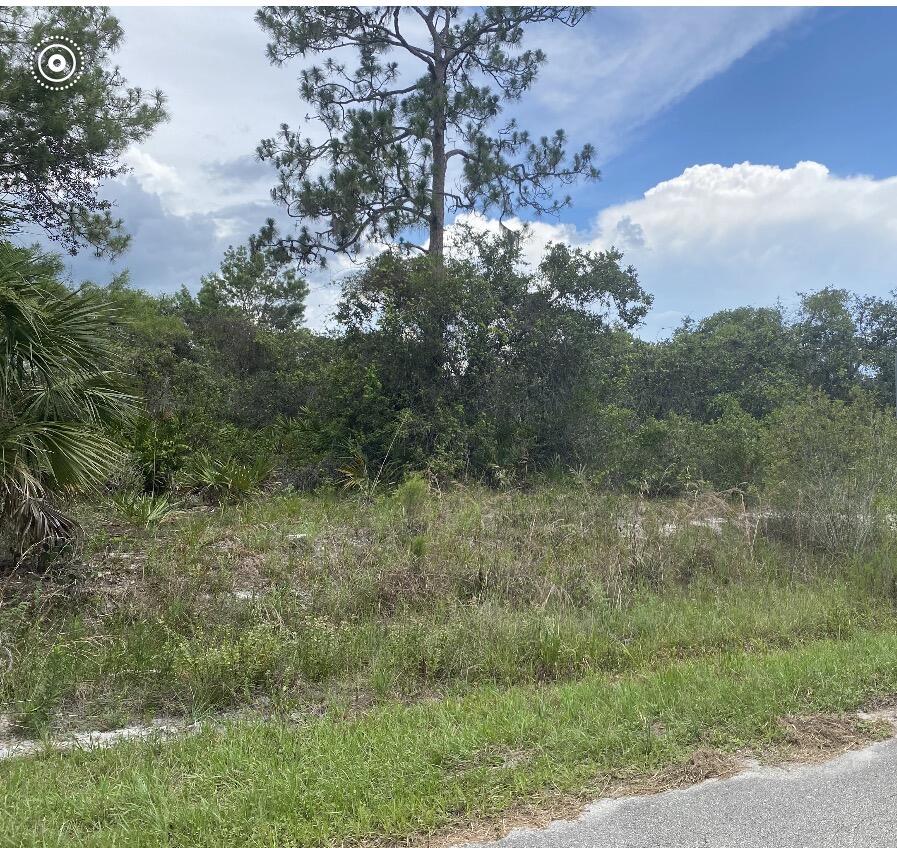 En Venta 1010 Archie Summers Road, Lake Placid, FL 33852, Lake Placid, FL 33852
