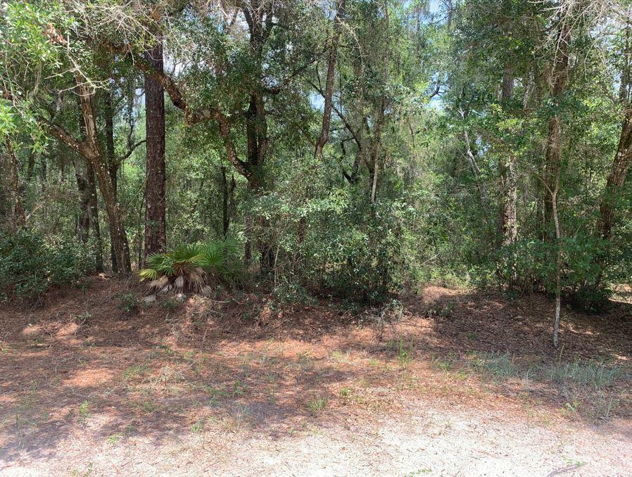 En Venta 112 New Jersey Street, Satsuma, FL 32189, Satsuma, FL 32189