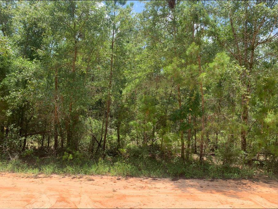 Foto de propiedad en 115 Florida Boulevard, Satsuma, FL 32189 Satsuma con MLS# 
