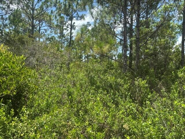 En Venta 0 Holopaw Groves Road, St. Cloud, FL 34772, St. Cloud, FL 34772
