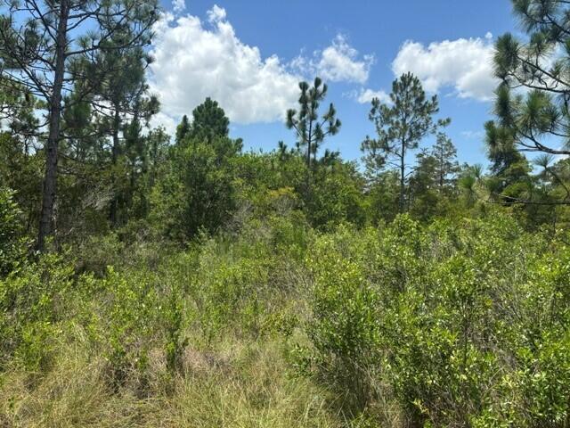 En Venta 0 Holopaw Groves Road, St. Cloud, FL 34772, St. Cloud, FL 34772